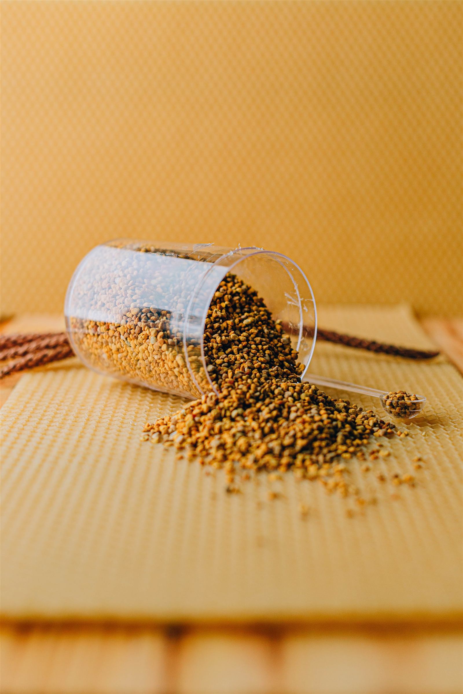 Polen de abejas